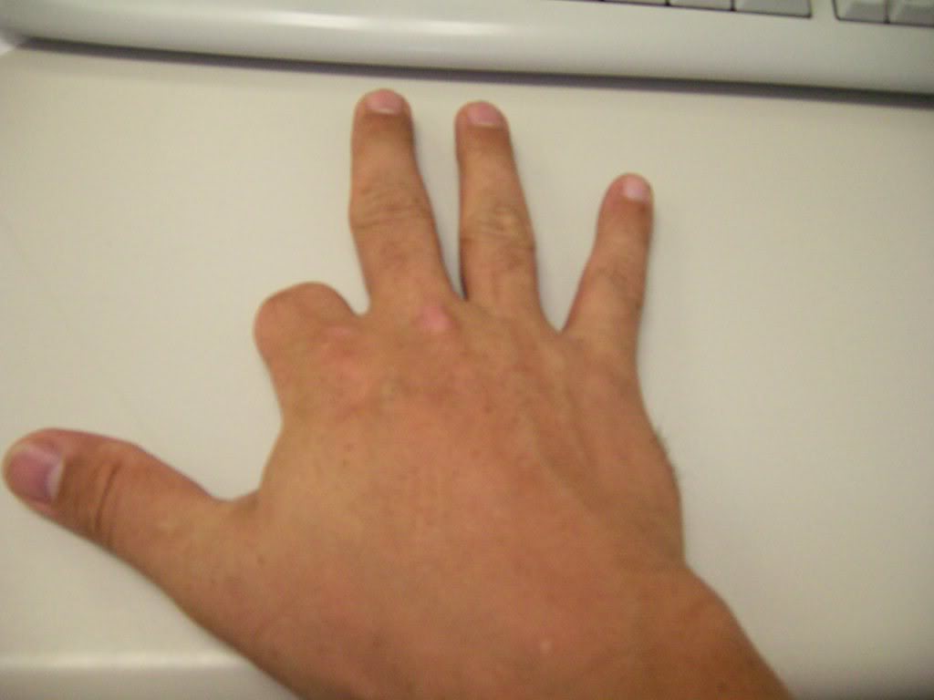 000_00391.jpg