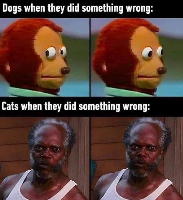 00125875.jpg
