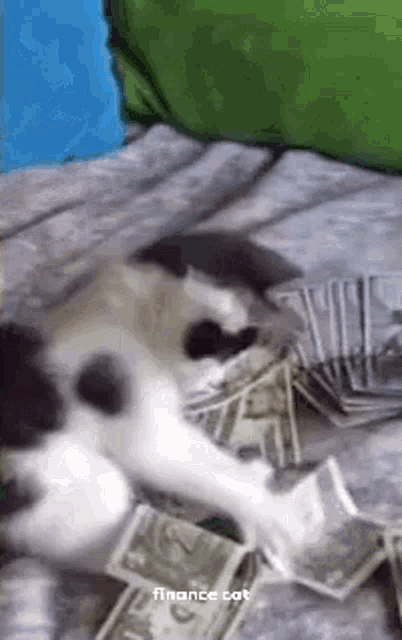 0020B073-07F7-4470-B802-C8D20B67670B.gif