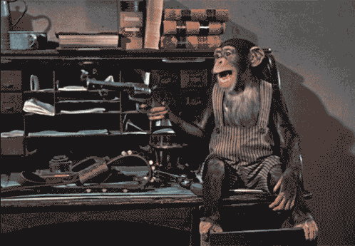 004E6F34-EA00-4FF9-96B9-16EA5BB58464.gif