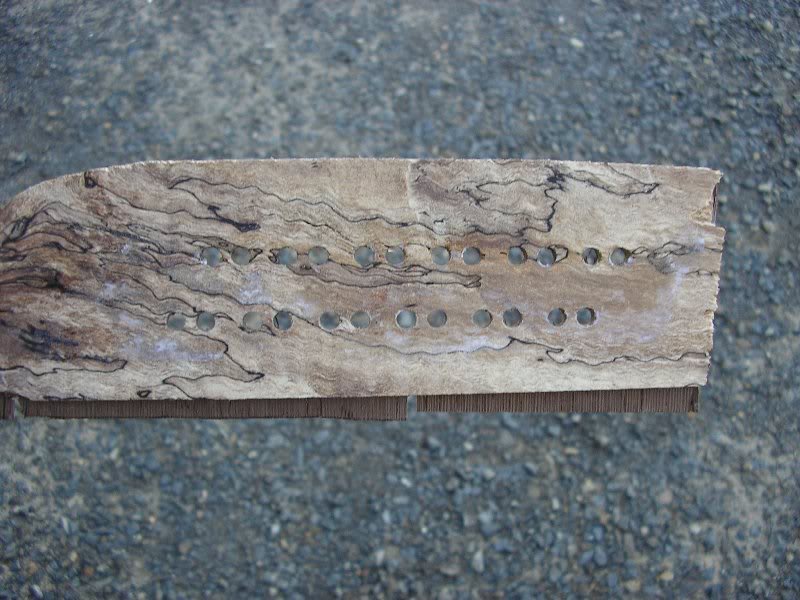 005-119.jpg