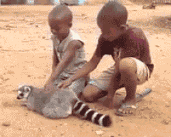 00l,nf6.gif