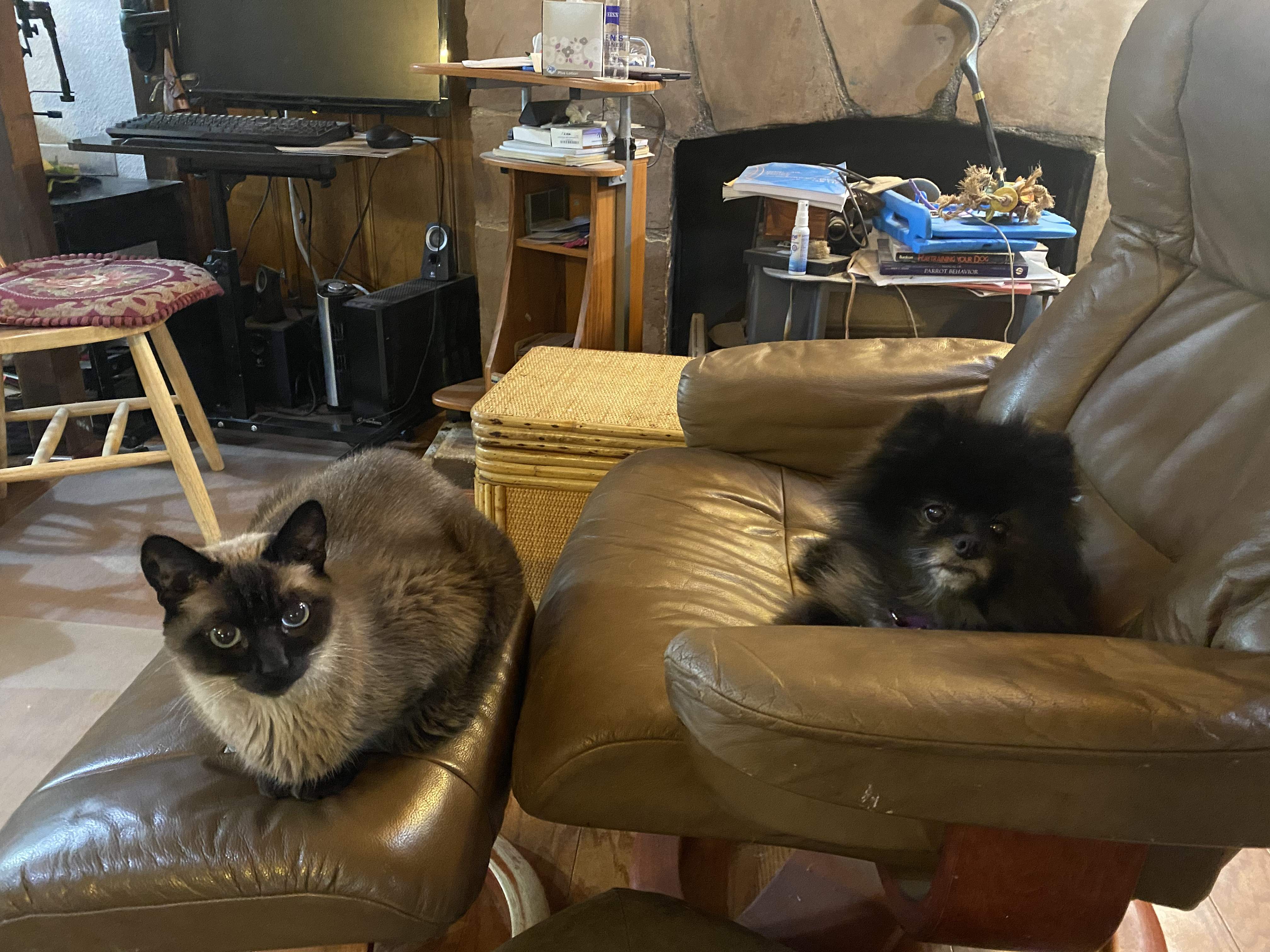 01527C8E-D16D-4AE6-A850-D66D1D01D86E.jpeg