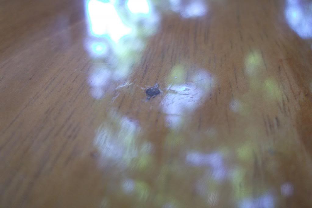 018-5_zps0c27185b.jpg