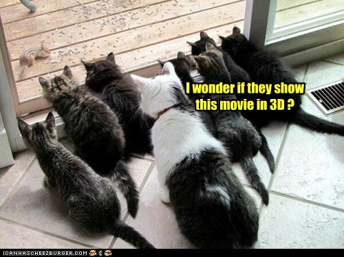 01BBA1B6-5F84-4CA0-AB99-50F7AF4E7F41.jpeg