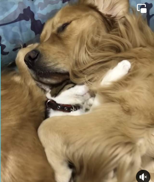 02133D27-DA70-464B-9E6C-C4251C5DD85C.jpeg