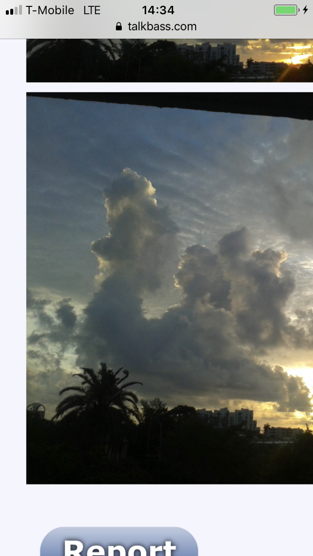 0257D048-D1DC-4AE9-A3CC-B294CF2CBFBB.png