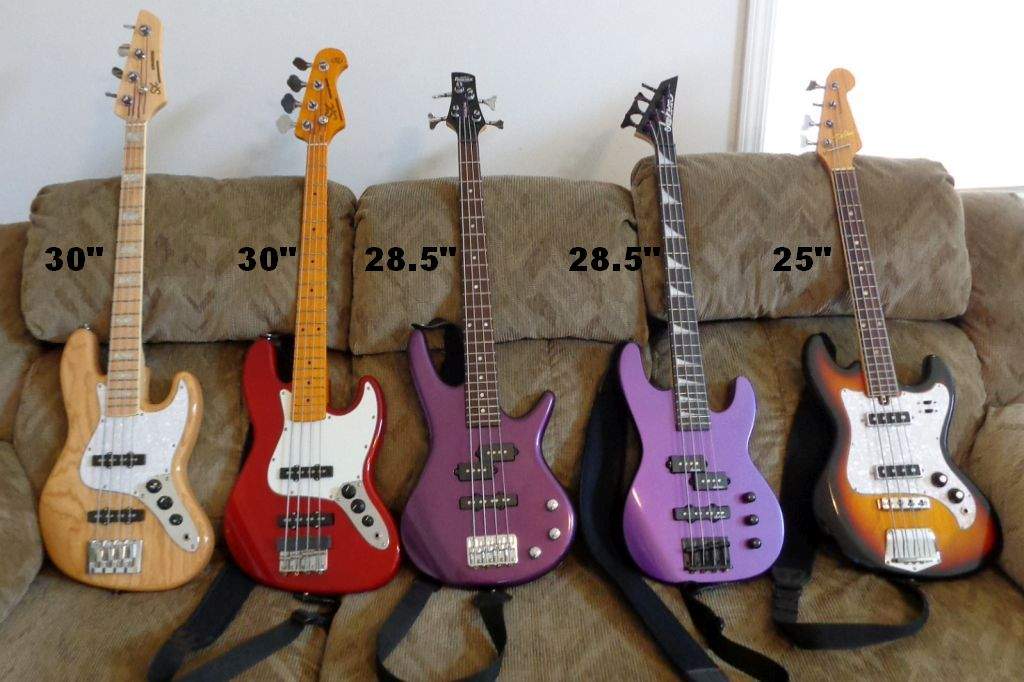 03.24.19-SSP.scale.jpg