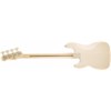 0303080501_gtr_back_001_rl.jpg