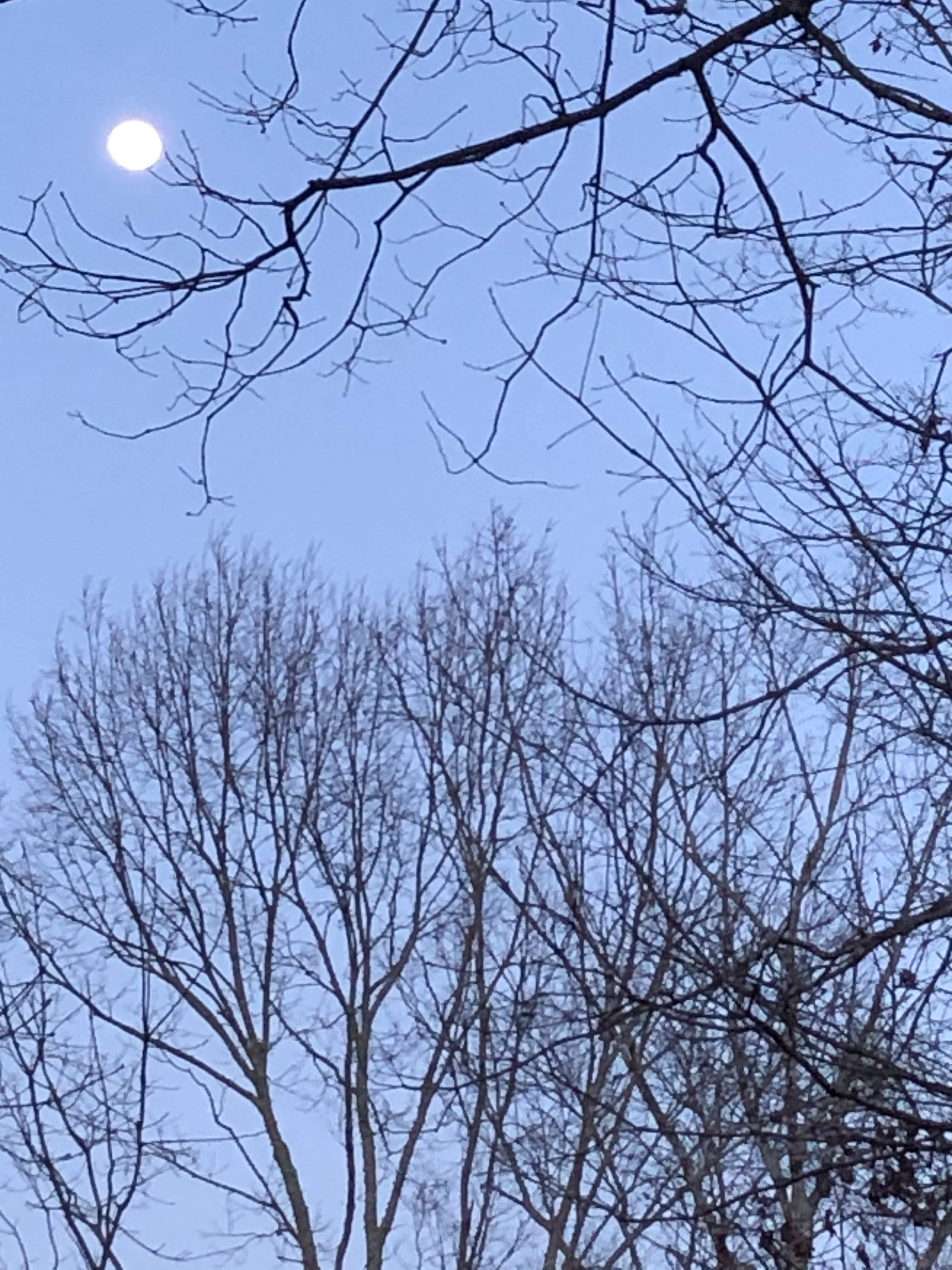 0343D586-777B-4B7E-AEE3-01D53E642511.jpeg