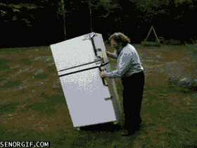 039B8A54-4F93-418B-89C5-E08426006381.gif