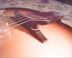 04-bridge-and-tailpiece.jpg