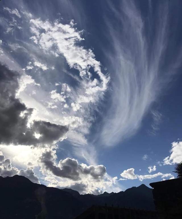 04610E67-FF0B-47D4-9525-AF5FD76A4470.jpeg