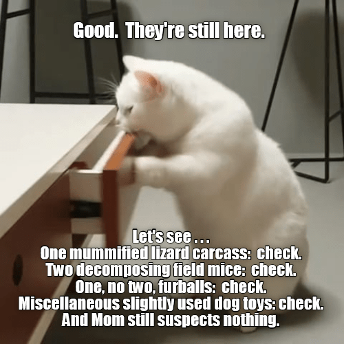 0529E8BD-52F9-4E8E-8BEE-A0F1A395B77C.png