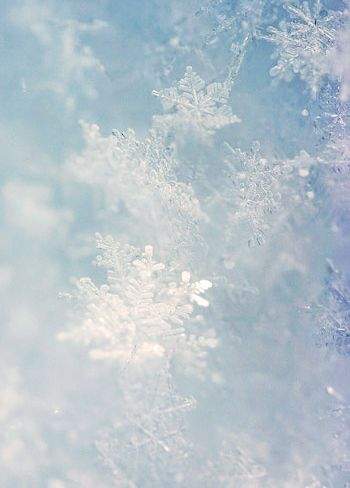 053037C7-1C3E-421C-B510-C16810C27840.jpeg