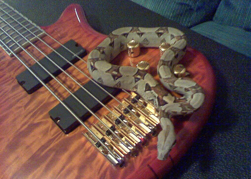 05Bella072409.jpg