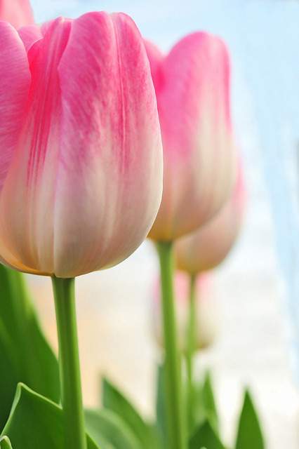 05e8570f-86b0-4bdd-ae66-6f9f8df5a5cb.jpg