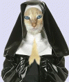 06A70F5C-7653-40DB-AB7A-8A701EB96E27.gif