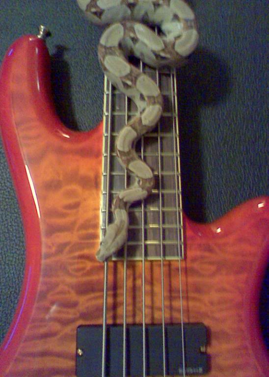 06Bella072409.jpg