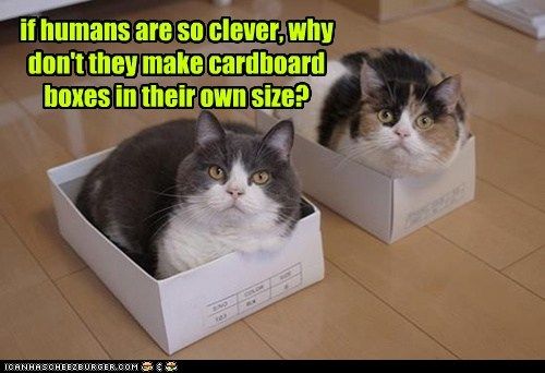 06E08131-EA52-4C57-A9EB-DBB12F33E0C9.jpeg