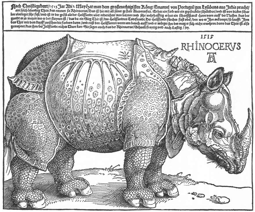 06rhino.jpg