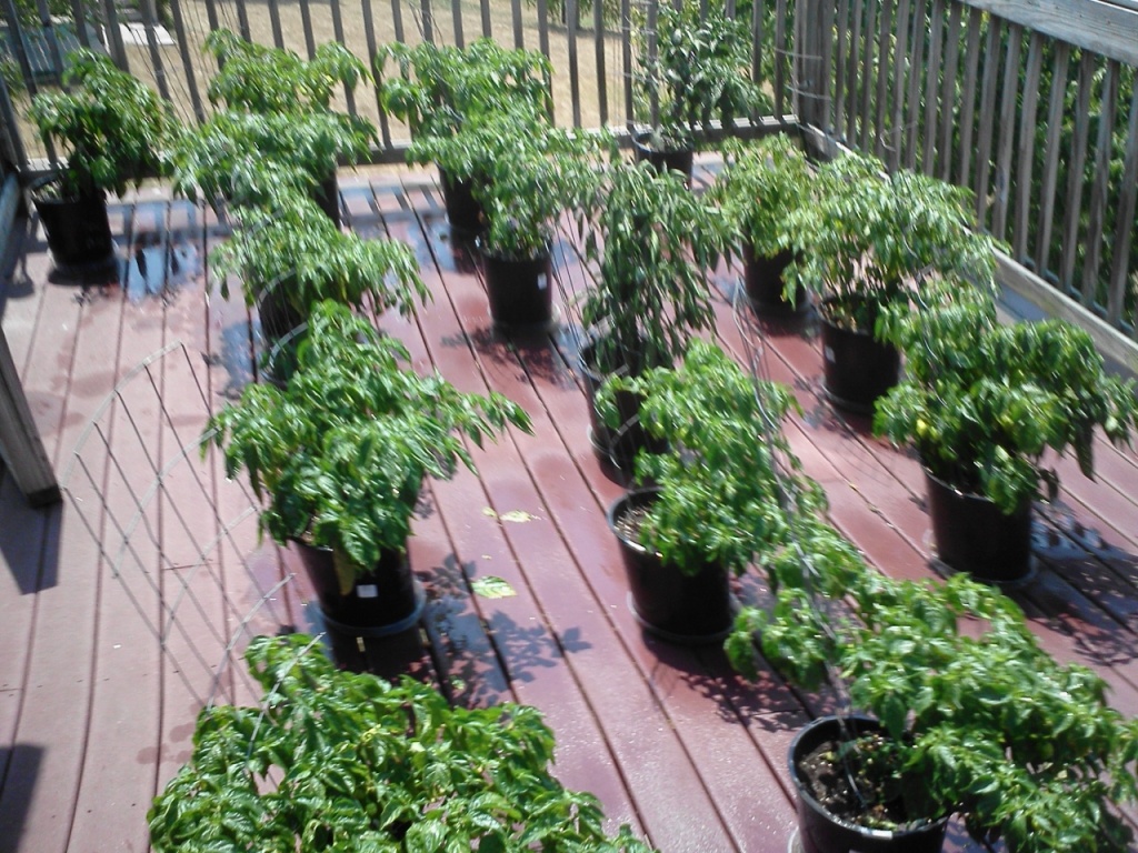 0706121232.jpg