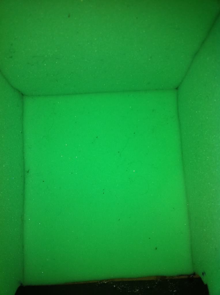 0722489c.jpg