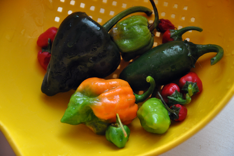 0724201272dpi016.jpg