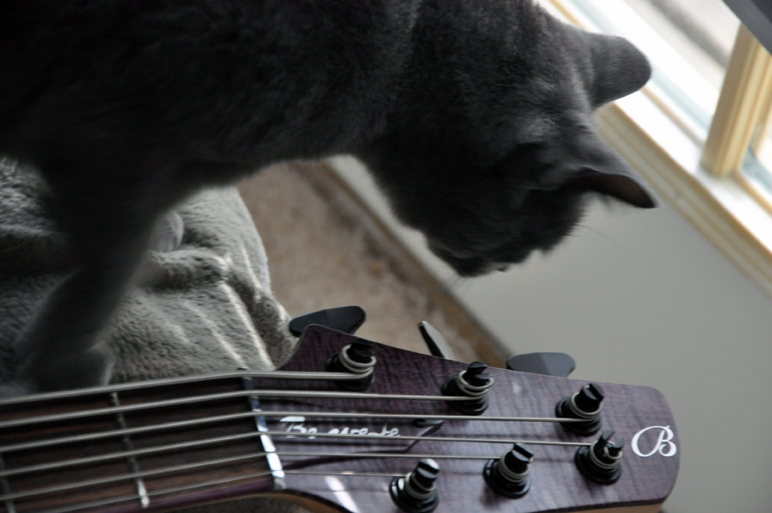 0724201272dpi061.jpg