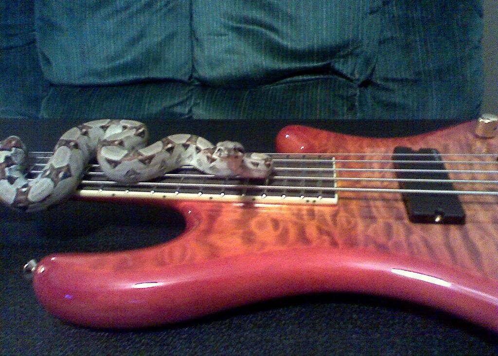 07Bella072409.jpg