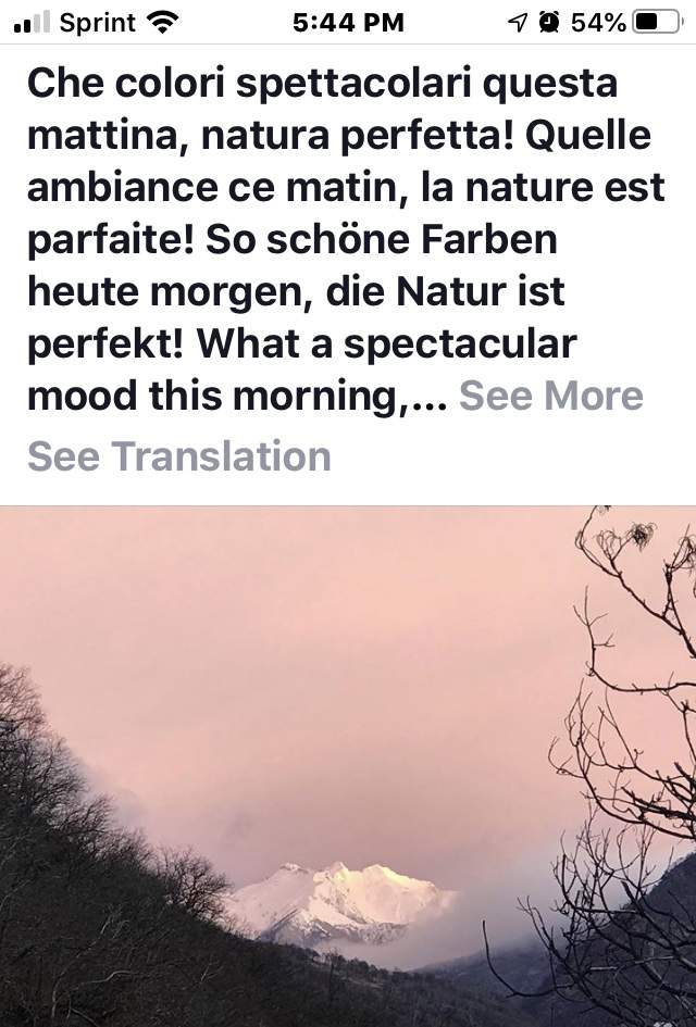 07EFE856-0D6F-44C4-B75B-A2FCB2989386.jpeg