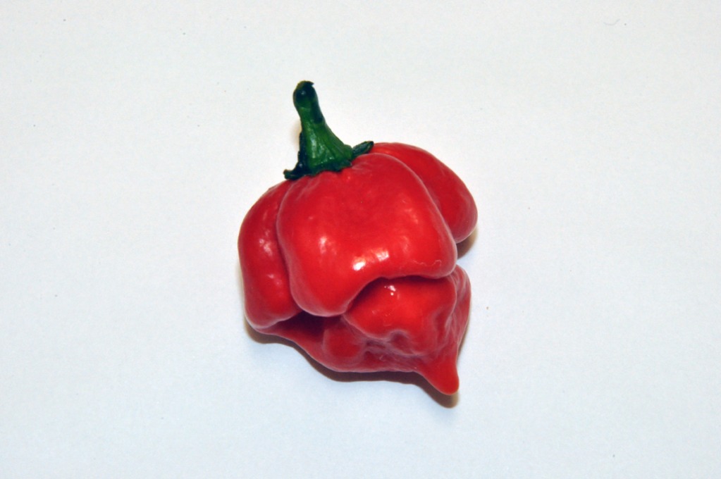 0801201272dpi040.jpg
