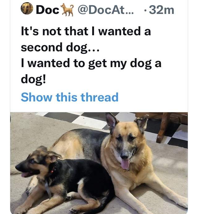 0805FDD1-BB18-451C-97D2-4A3D3D2D9E26.jpeg