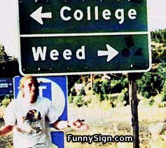 081college.jpg