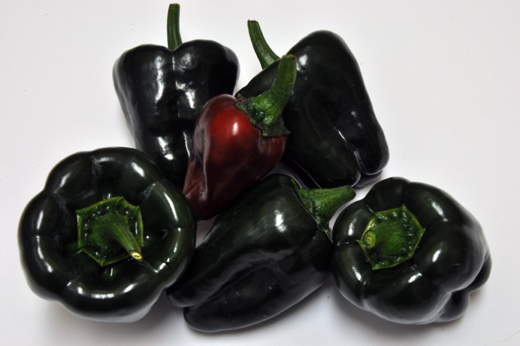 08202012peppers72dpi012.jpg