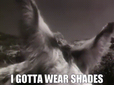 085e6a8a-8058-4167-a267-aecc9ad21543_text.gif