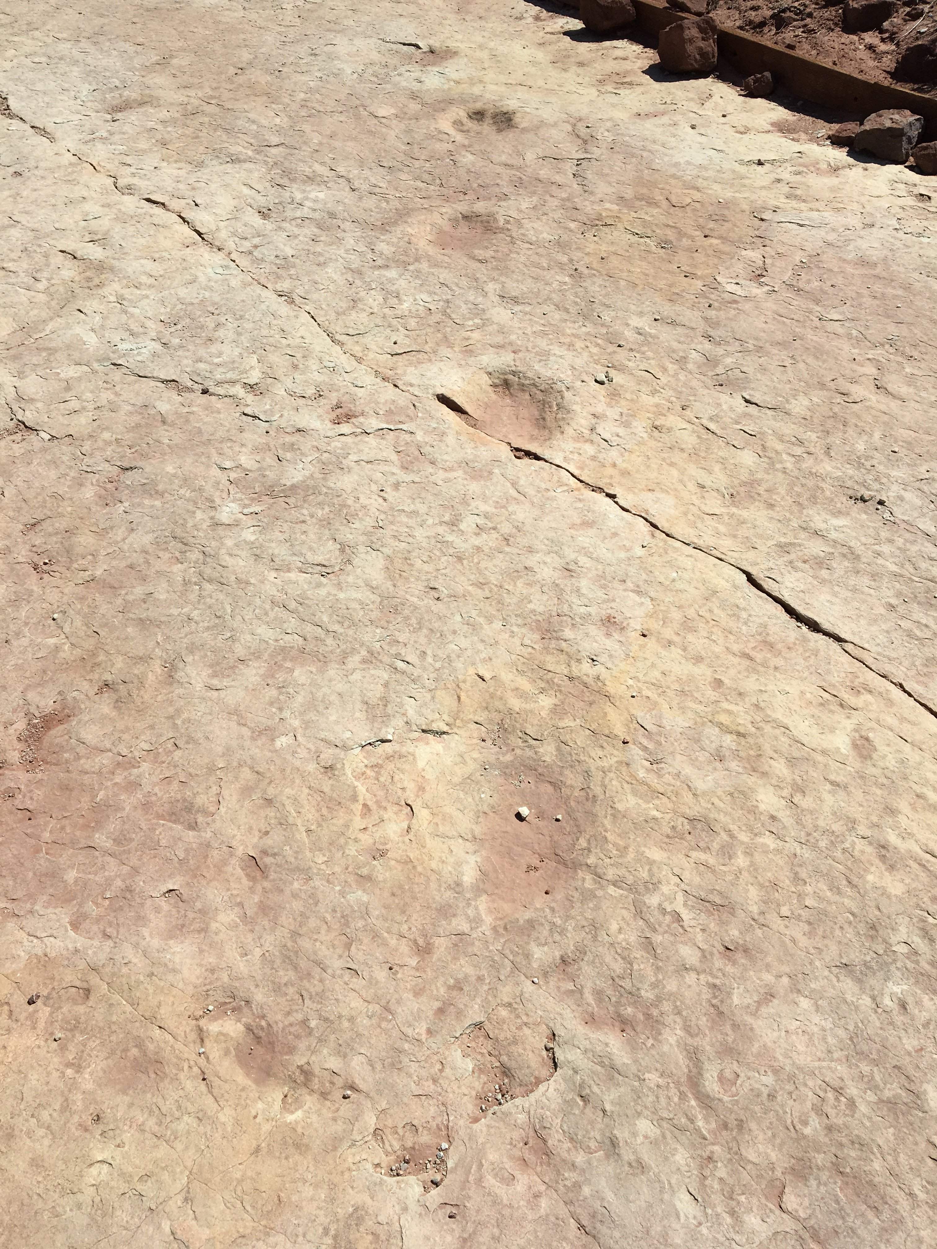 0942D0BB-DCA0-4F35-B39F-6791D2AE2058.jpeg