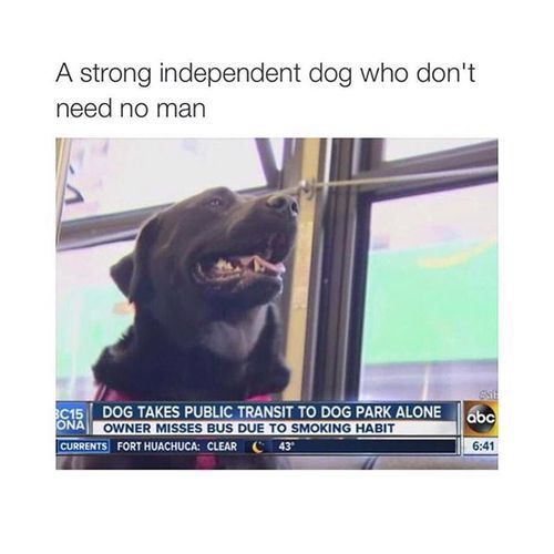 0976f7d0cc6b5d2e706cd619e33c4927-985085970.jpg