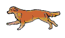 09BD2BF8-38C2-4F44-94CA-EB17921ACDCE.gif