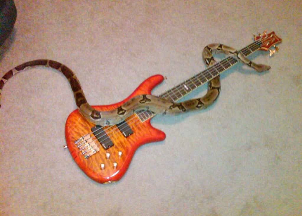 09BigBoy03192010.jpg
