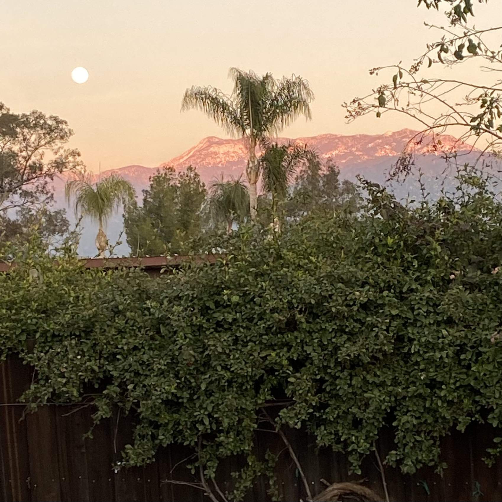 0C423B83-AE23-4785-B7B5-9830526E8D53.jpeg