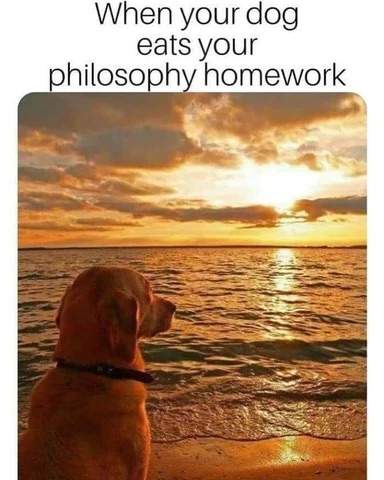 0CE234BC-5FF1-4BCE-8A43-C4DB866DA353.jpeg