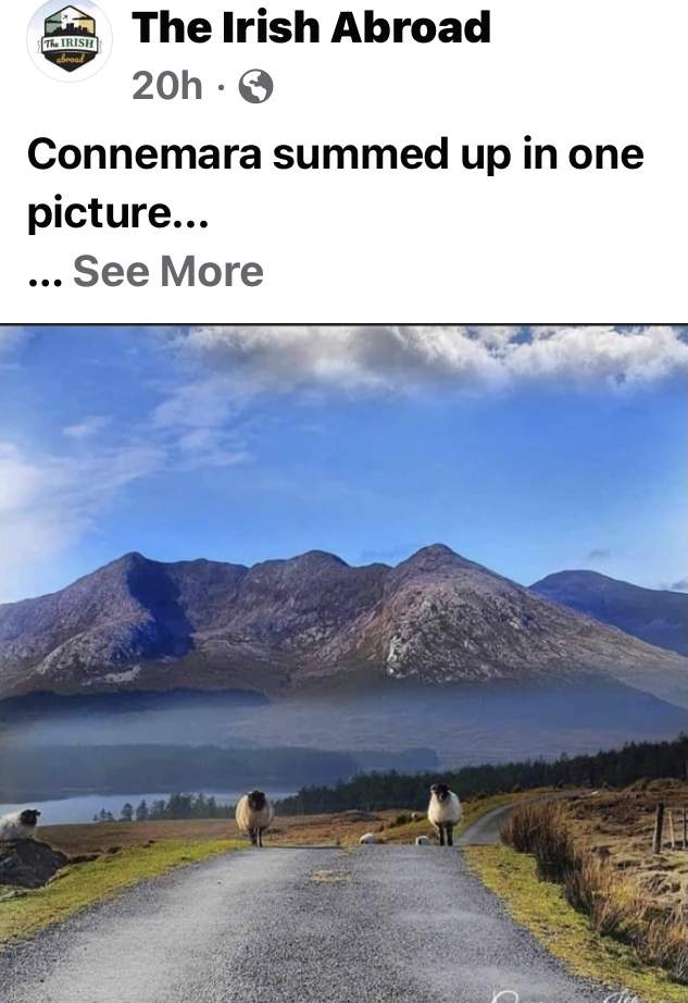 0D42CB84-8874-47F0-A2E0-5A7D84500D3D.jpeg