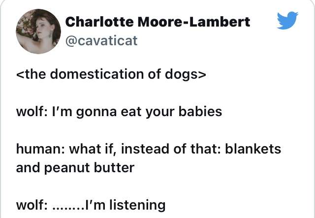 0DCEF28F-53AD-4435-9B51-6158DF11743E.jpeg