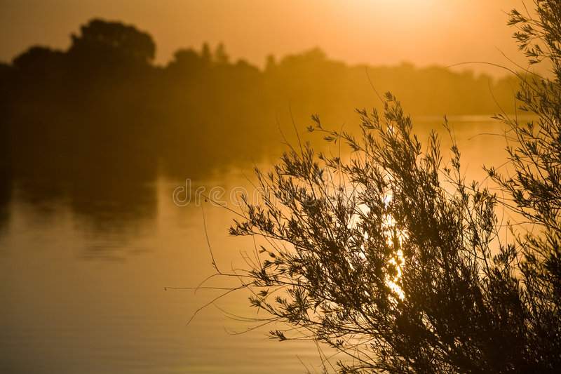 0E45A31A-AC33-40A5-ACE4-71A98AD81783.jpeg