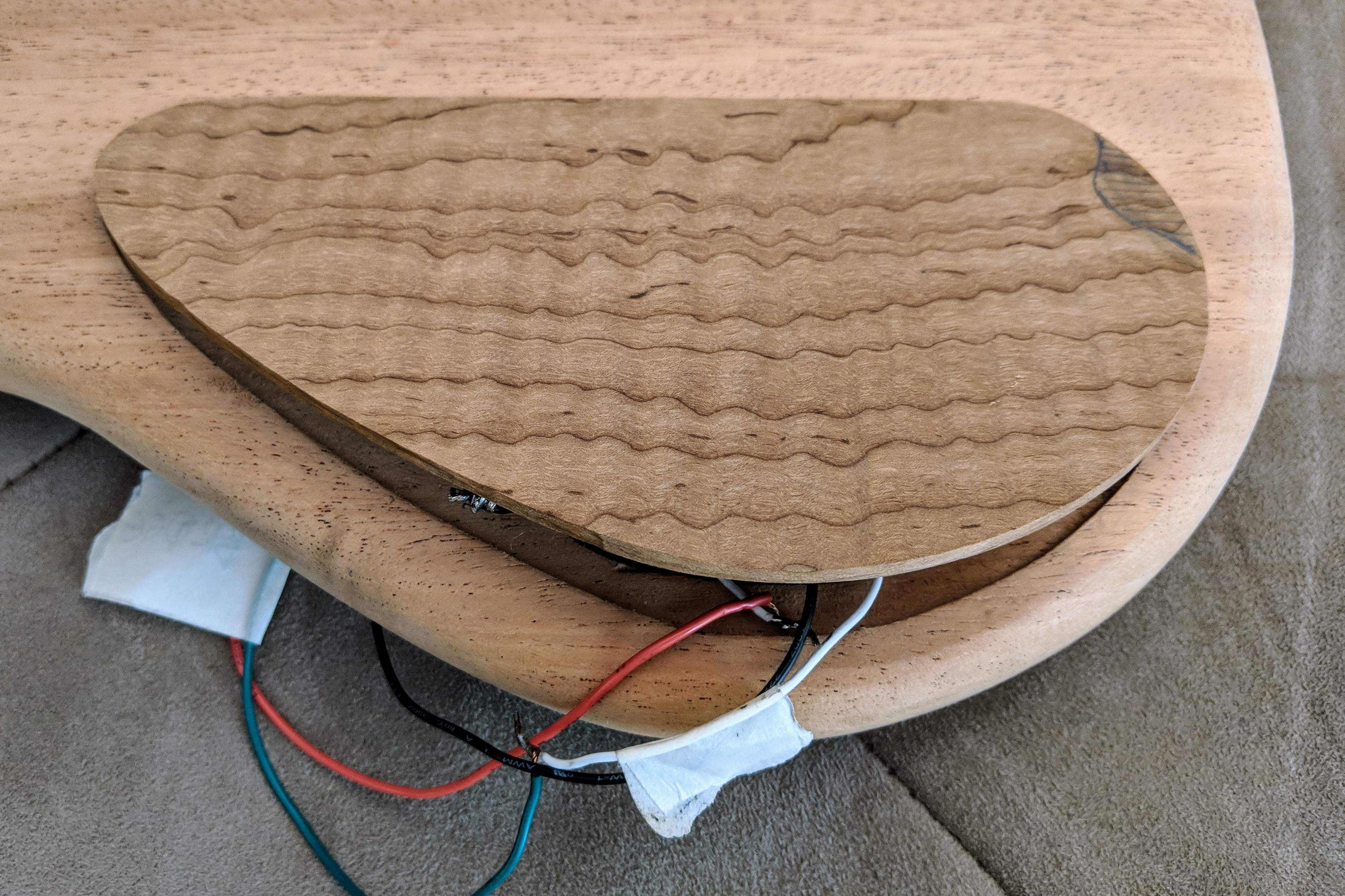 1 electronics cavity cover.jpg