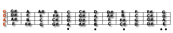1.gif