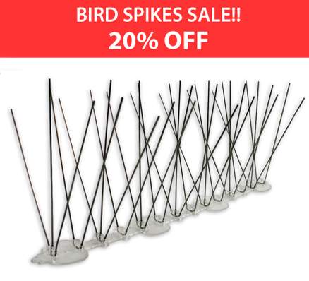 1-XT-Spikes.jpg