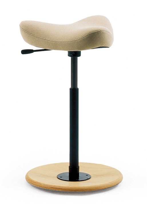 10-Stokke-Move.jpg