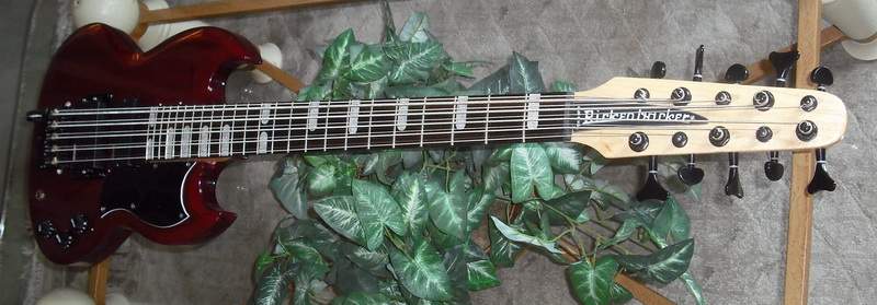10-string (54).JPG